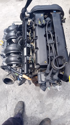 Motore ford fiesta 16v - motore, 1.4